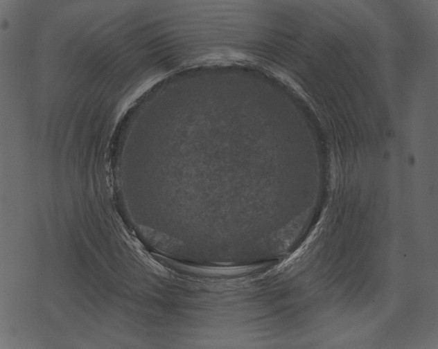 X0000070861018200606231247