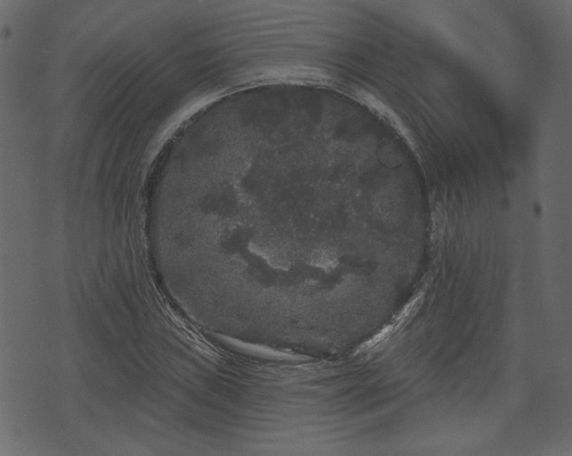 X0000070861019200606231247