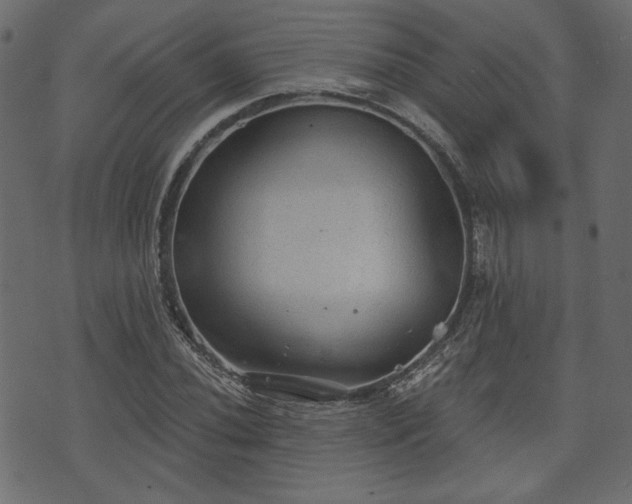 X0000070861020200606231247