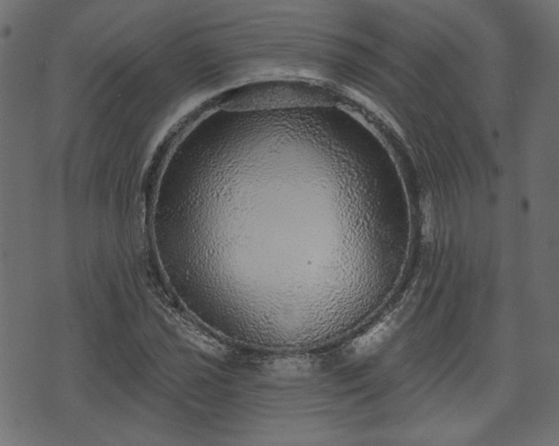 X0000070861021200606231247