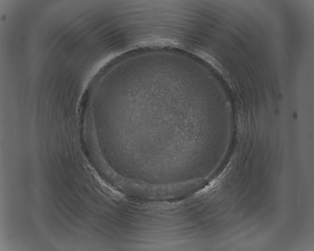 X0000070861022200606231247