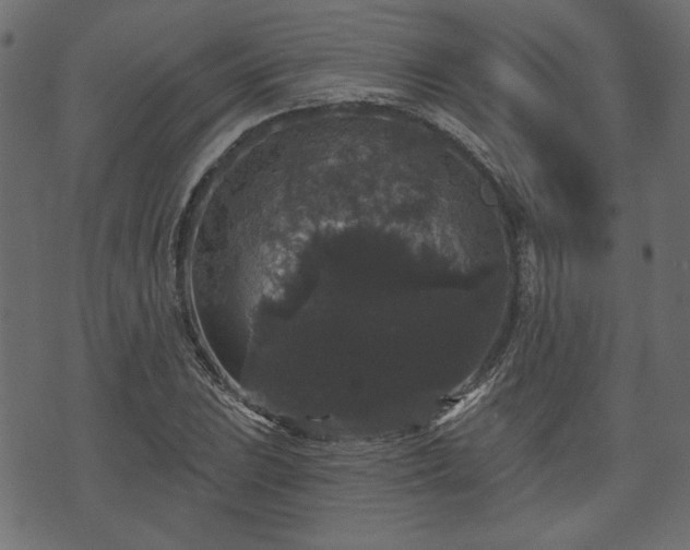 X0000070861023200606231247