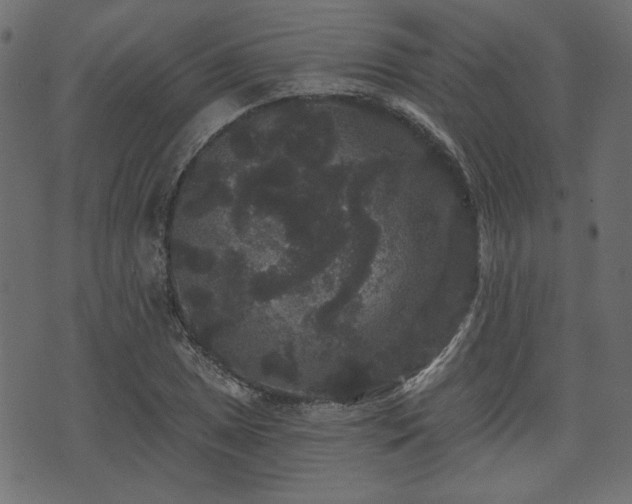 X0000070861025200606231247