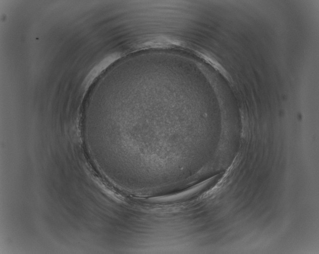 X0000070861026200606231247