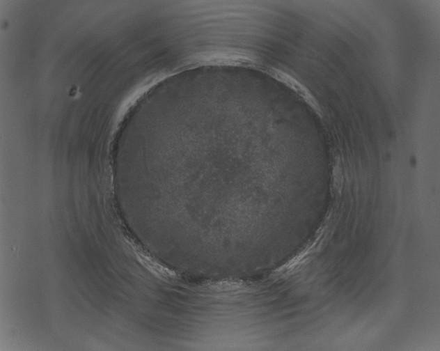 X0000070861027200606231248