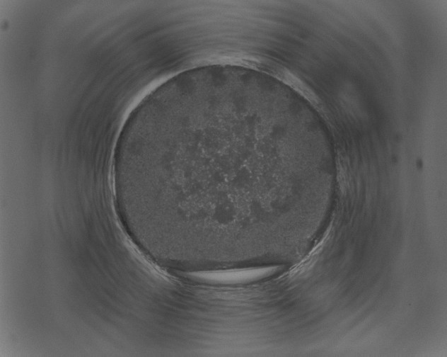 X0000070861028200606231248