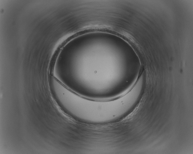 X0000070861030200606231248