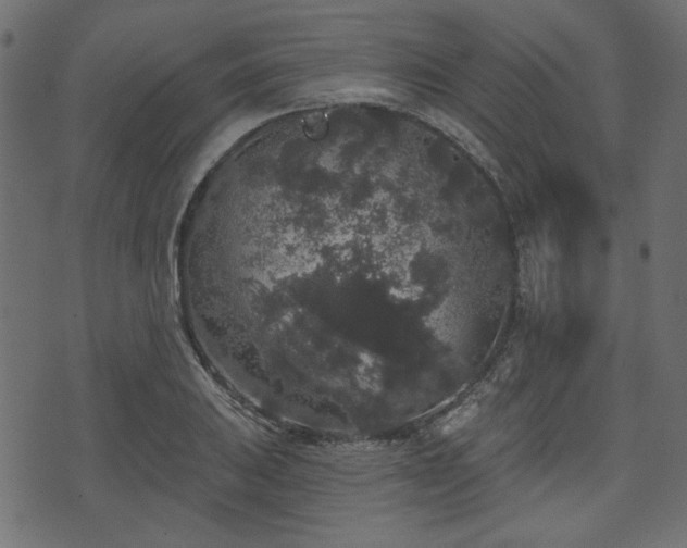 X0000070861031200606231248