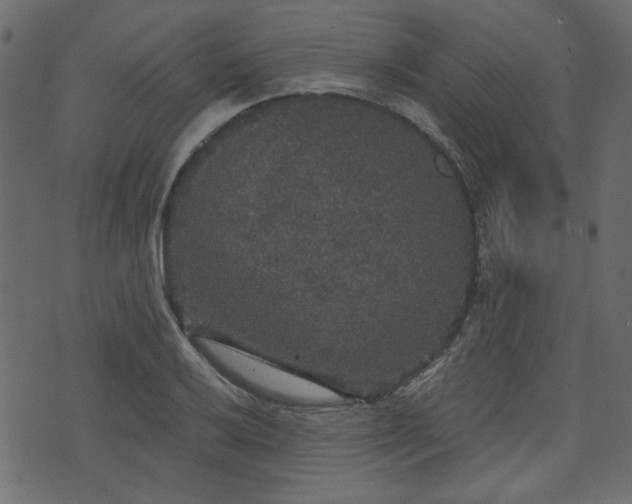 X0000070861032200606231248