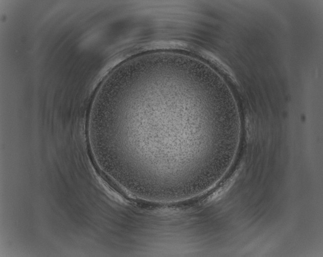 X0000070861033200606231248