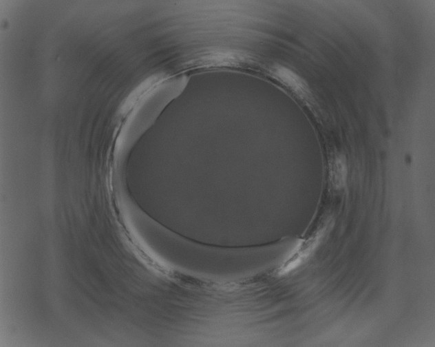 X0000070861034200606231248