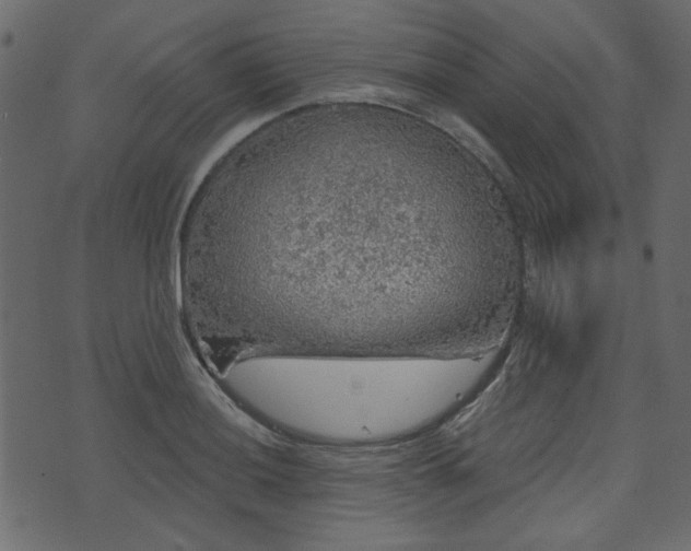 X0000070861036200606231248