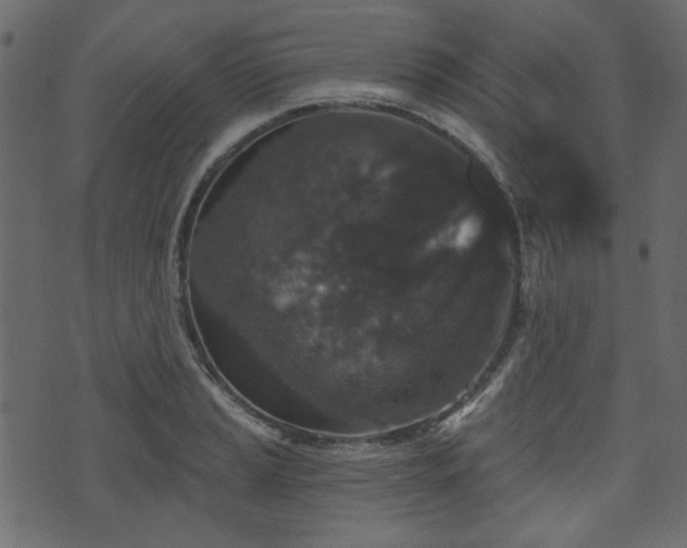 X0000070861037200606231248