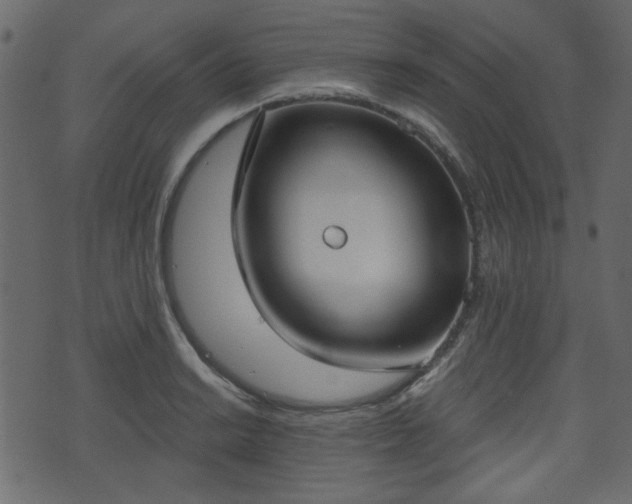 X0000070861038200606231248