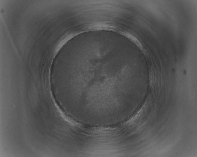 X0000070861039200606231248