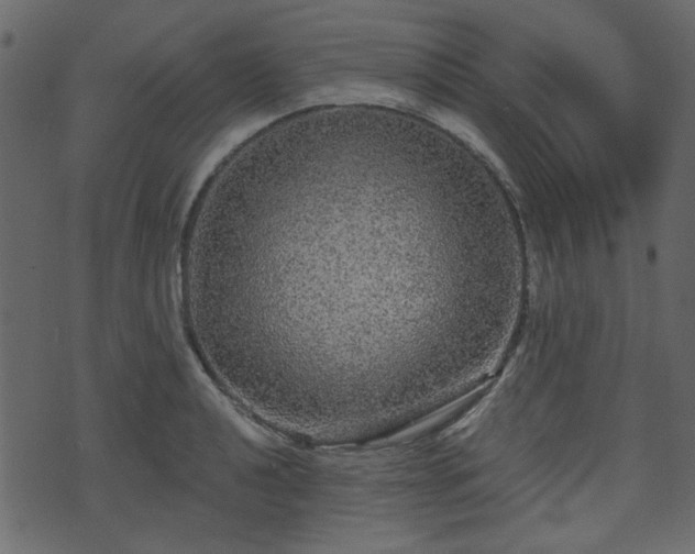 X0000070861040200606231248