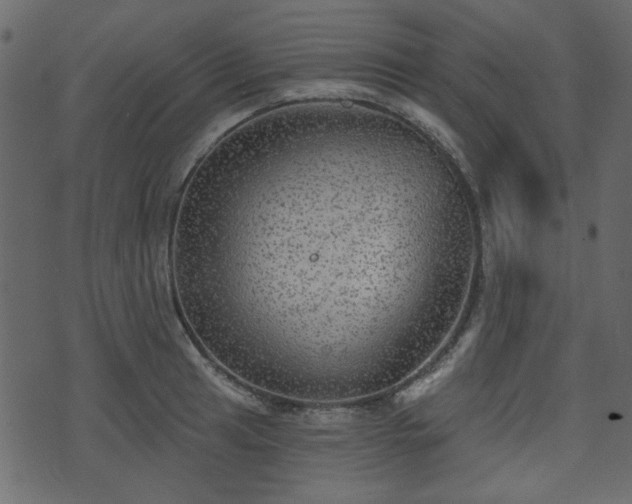 X0000070861041200606231248