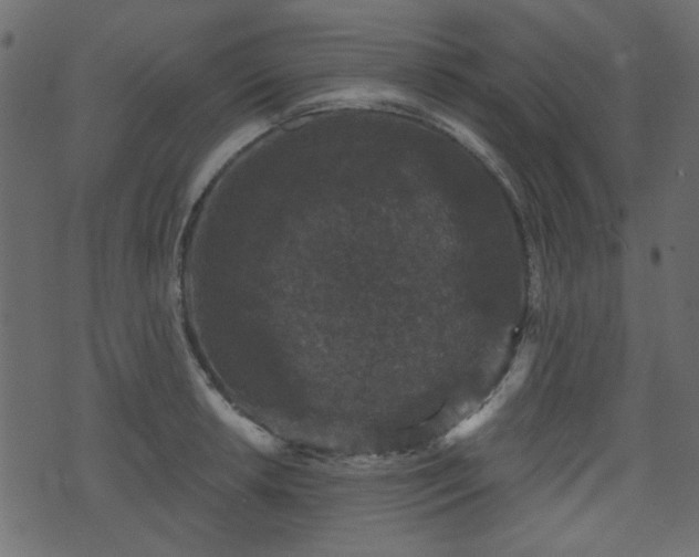 X0000070861042200606231248