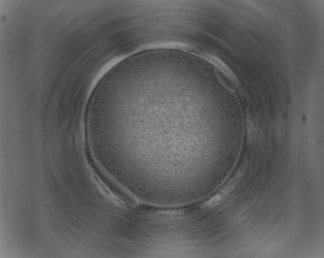 X0000070861044200606231248