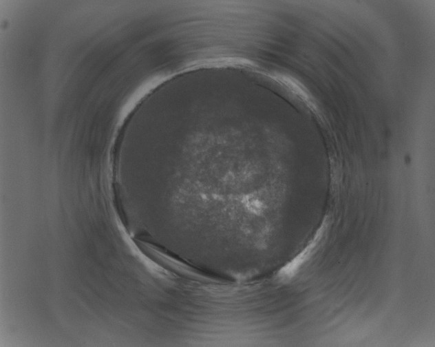 X0000070861046200606231248