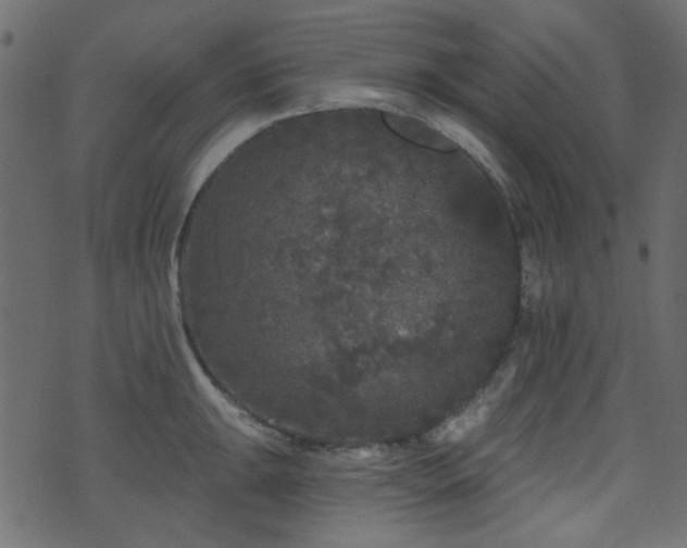 X0000070861047200606231248