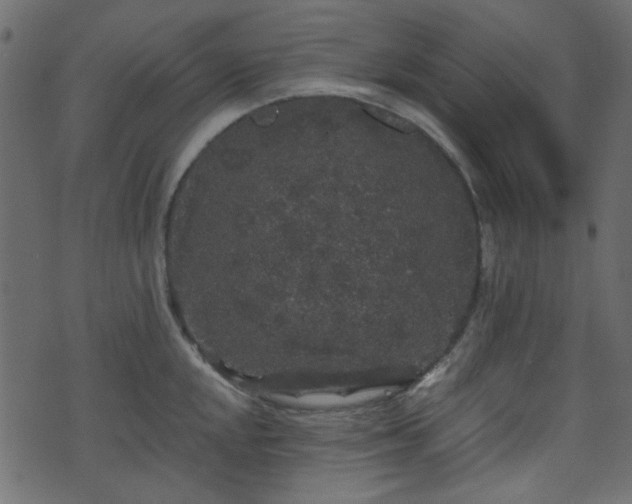 X0000070861048200606231248