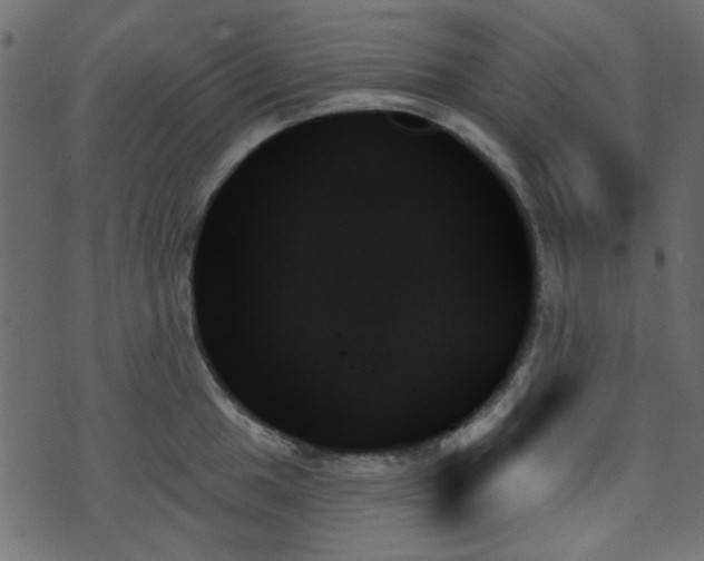 X0000070861049200606231248