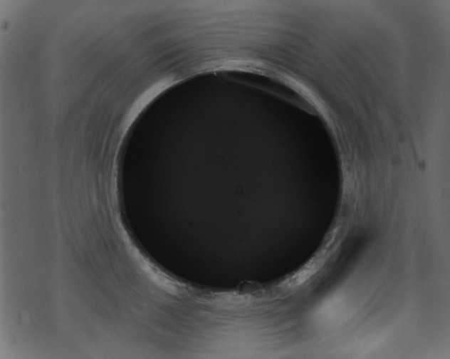 X0000070861050200606231248