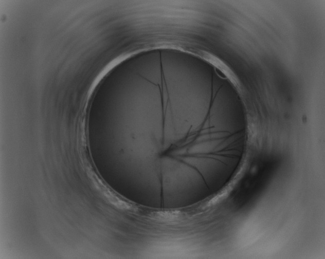 X0000070861052200606231248