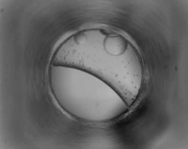 X0000070861053200606231248