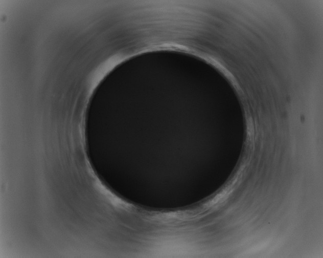 X0000070861054200606231248