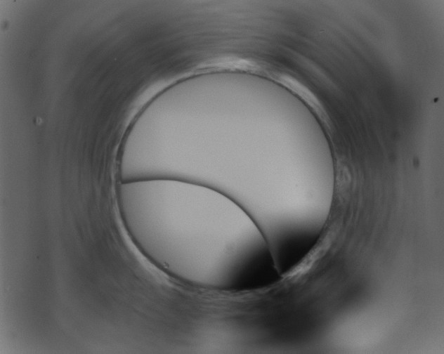 X0000070861055200606231248