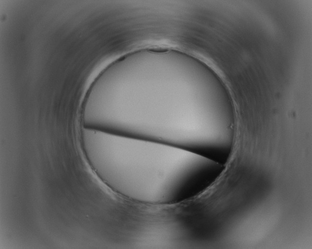 X0000070861056200606231248