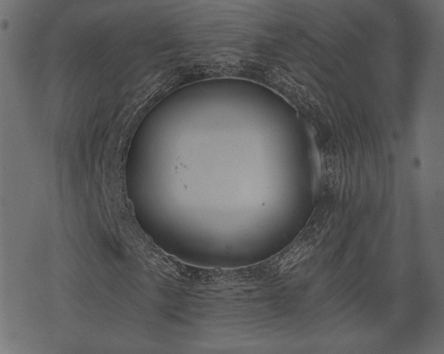 X0000070861057200606231247