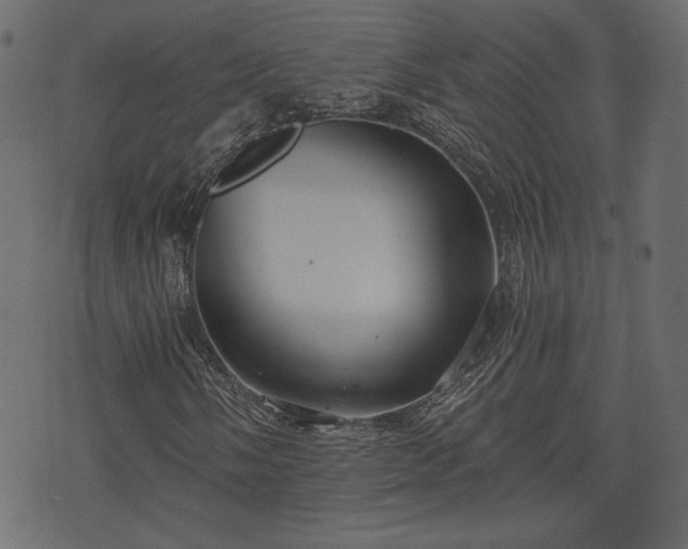 X0000070861058200606231247