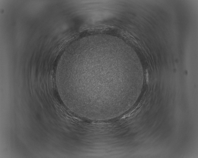 X0000070861059200606231247