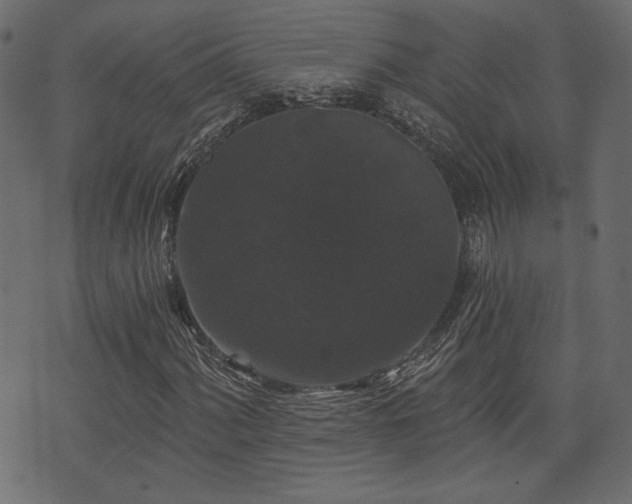 X0000070861060200606231247