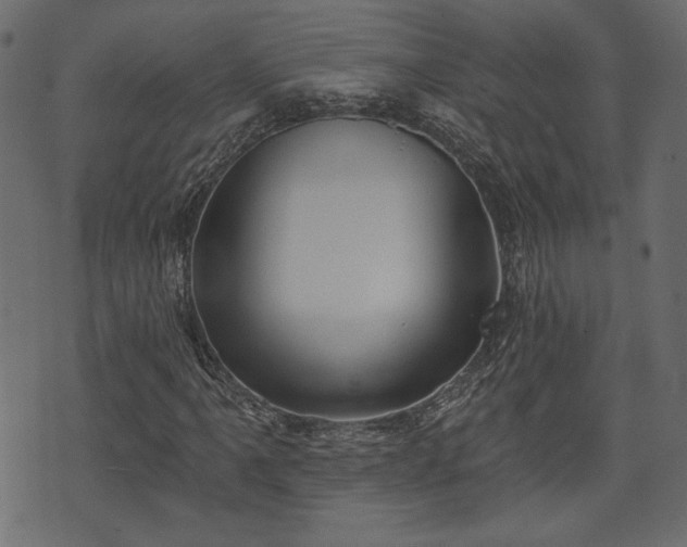 X0000070861061200606231247