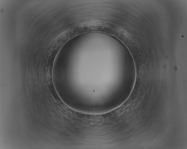 X0000070861062200606231247