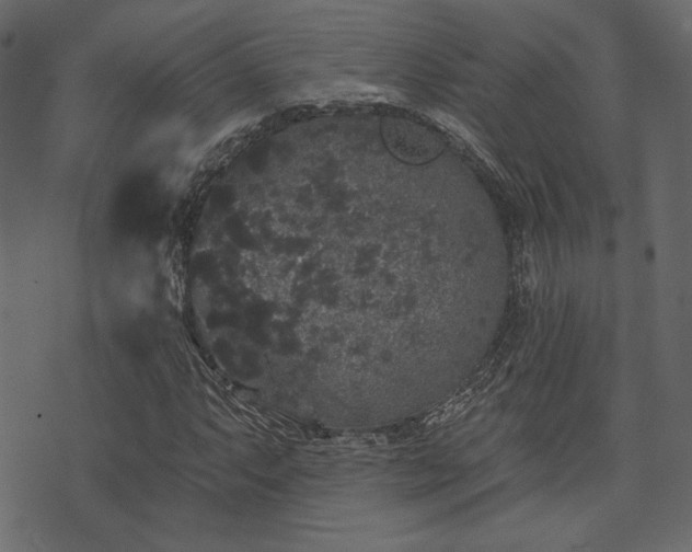 X0000070861063200606231247