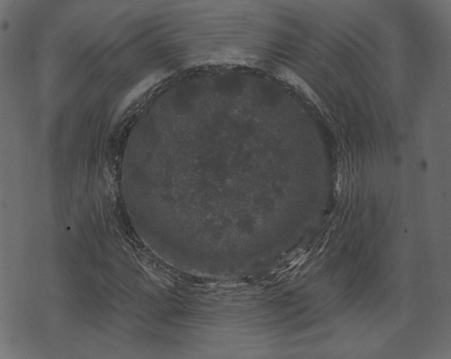 X0000070861064200606231247