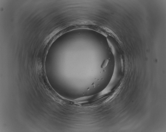 X0000070861065200606231247