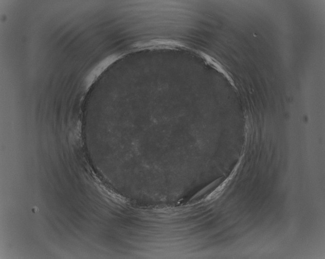 X0000070861066200606231247