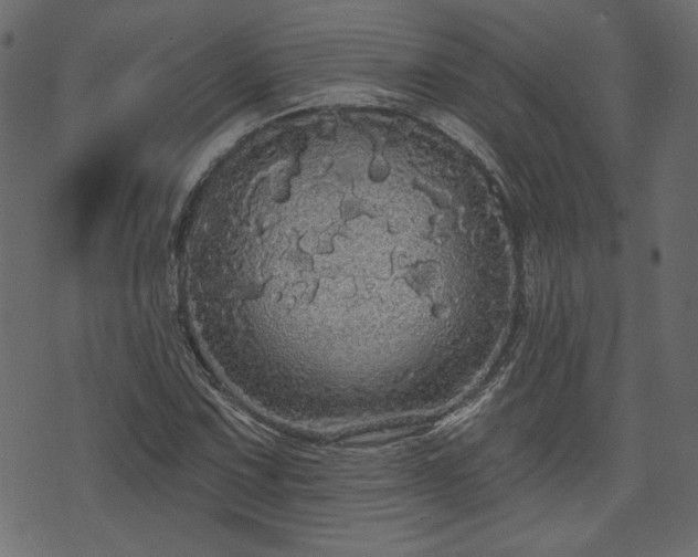 X0000070861067200606231247