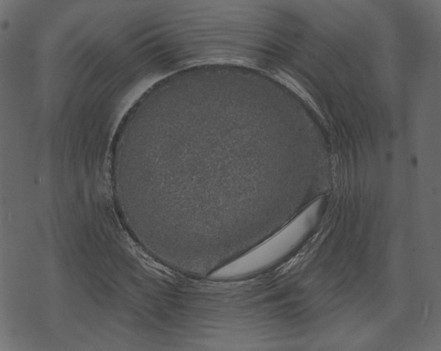 X0000070861068200606231247