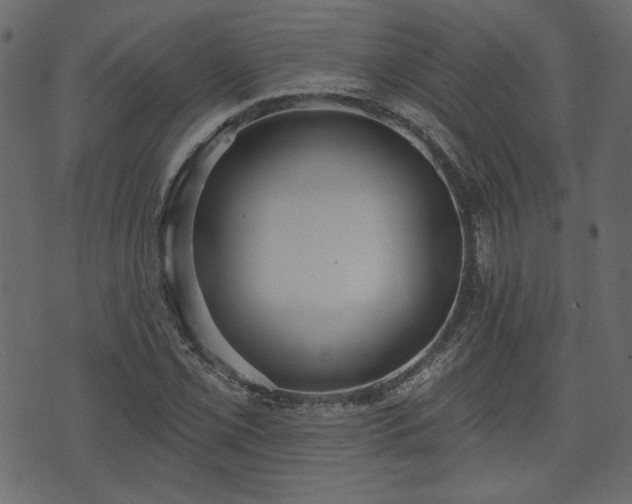 X0000070861069200606231247