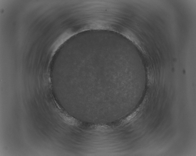 X0000070861070200606231247