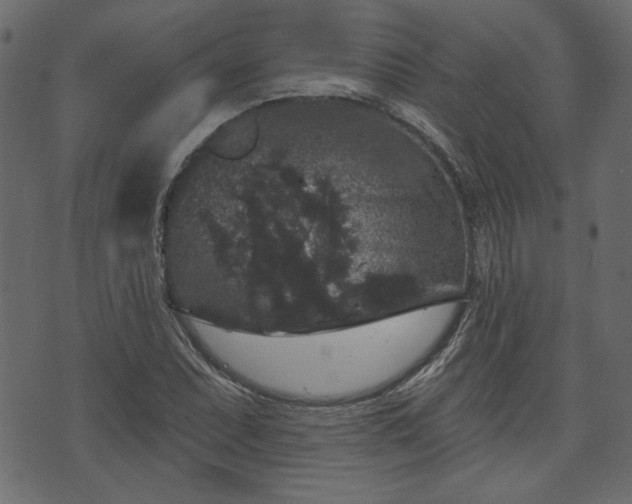 X0000070861071200606231247