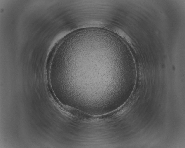 X0000070861072200606231247