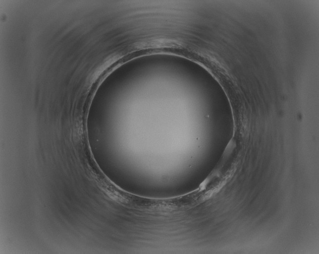 X0000070861073200606231247